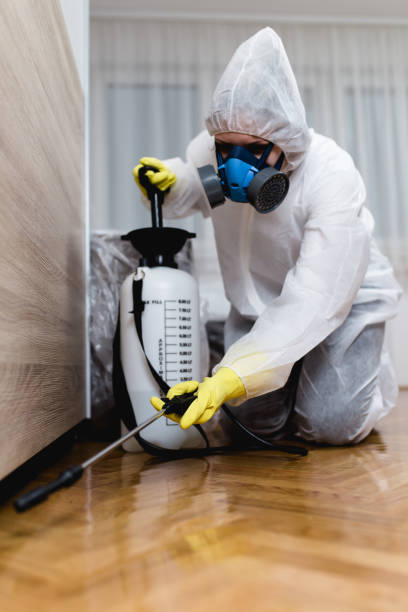 Best Bed Bug Extermination  in Wyndham, VA